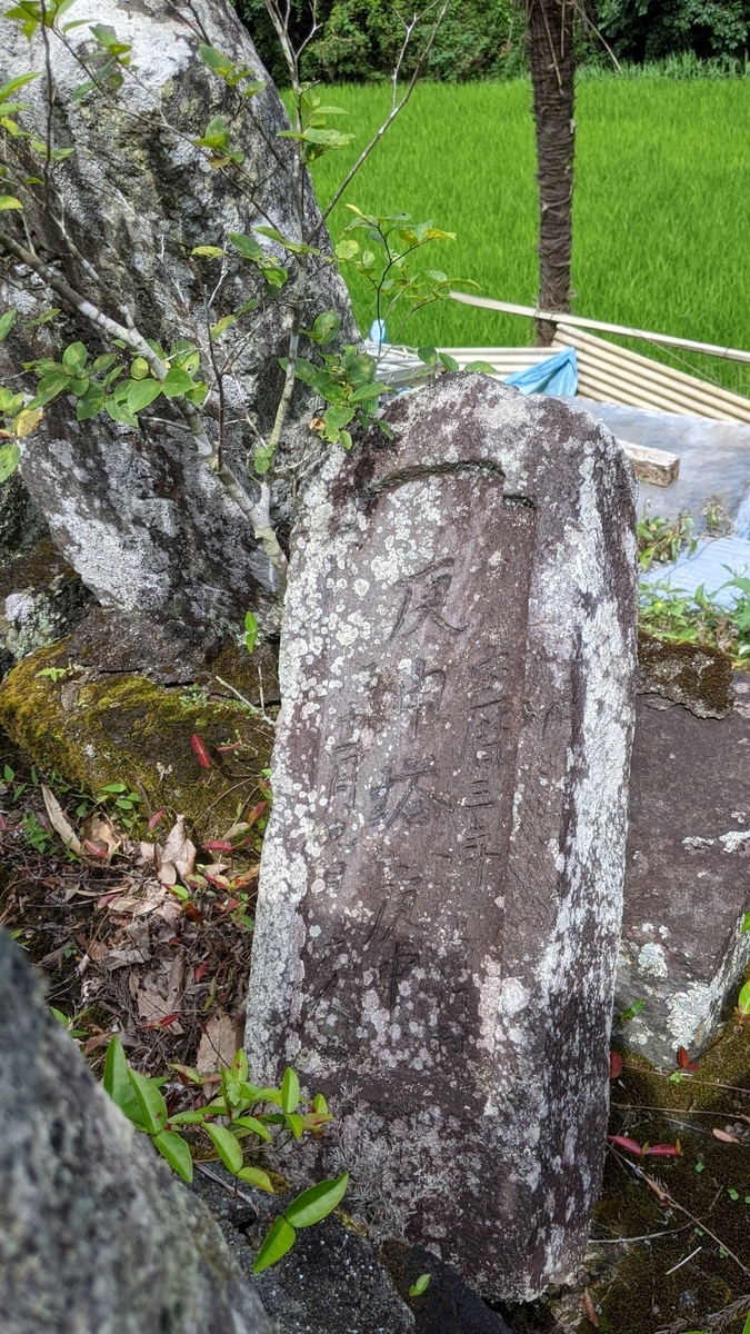 f:id:tears_of_ruby_grapefruit:20210817014325j:plain