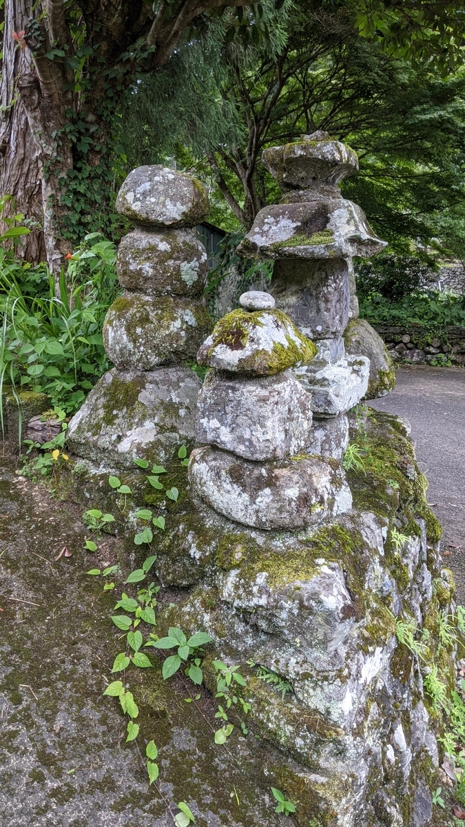 f:id:tears_of_ruby_grapefruit:20210817014357j:plain