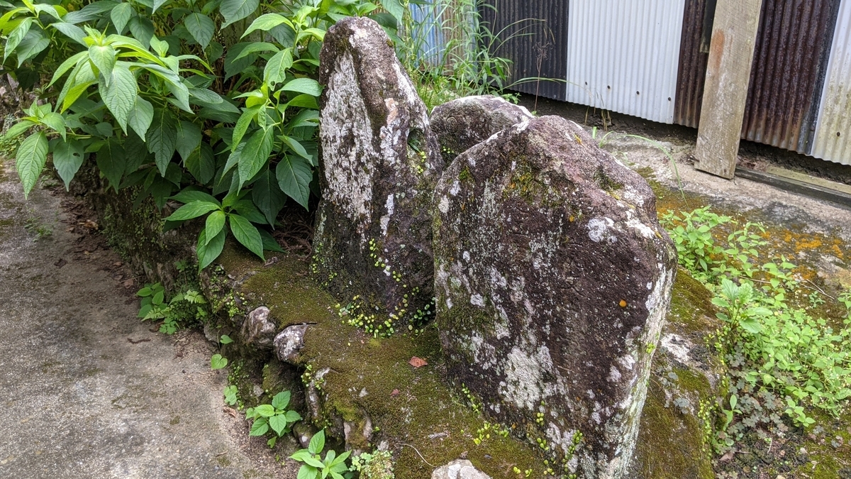 f:id:tears_of_ruby_grapefruit:20210817014411j:plain