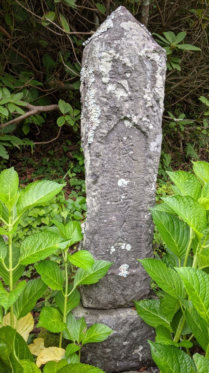 f:id:tears_of_ruby_grapefruit:20210817014457j:plain