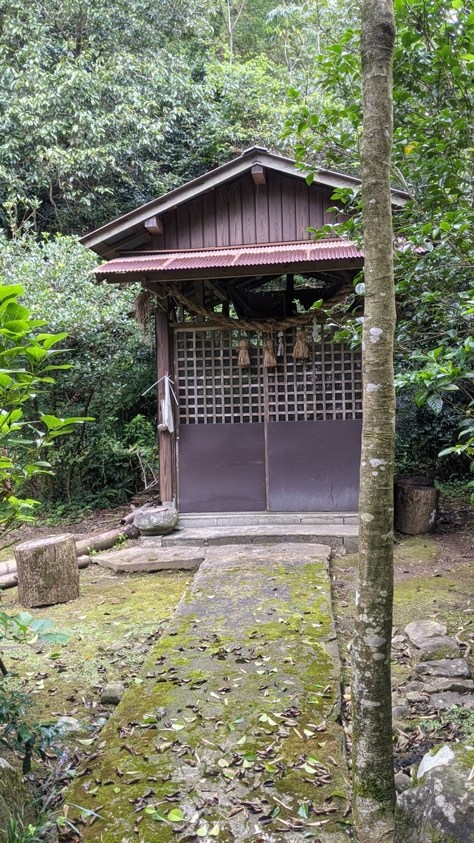 f:id:tears_of_ruby_grapefruit:20210915005401j:plain