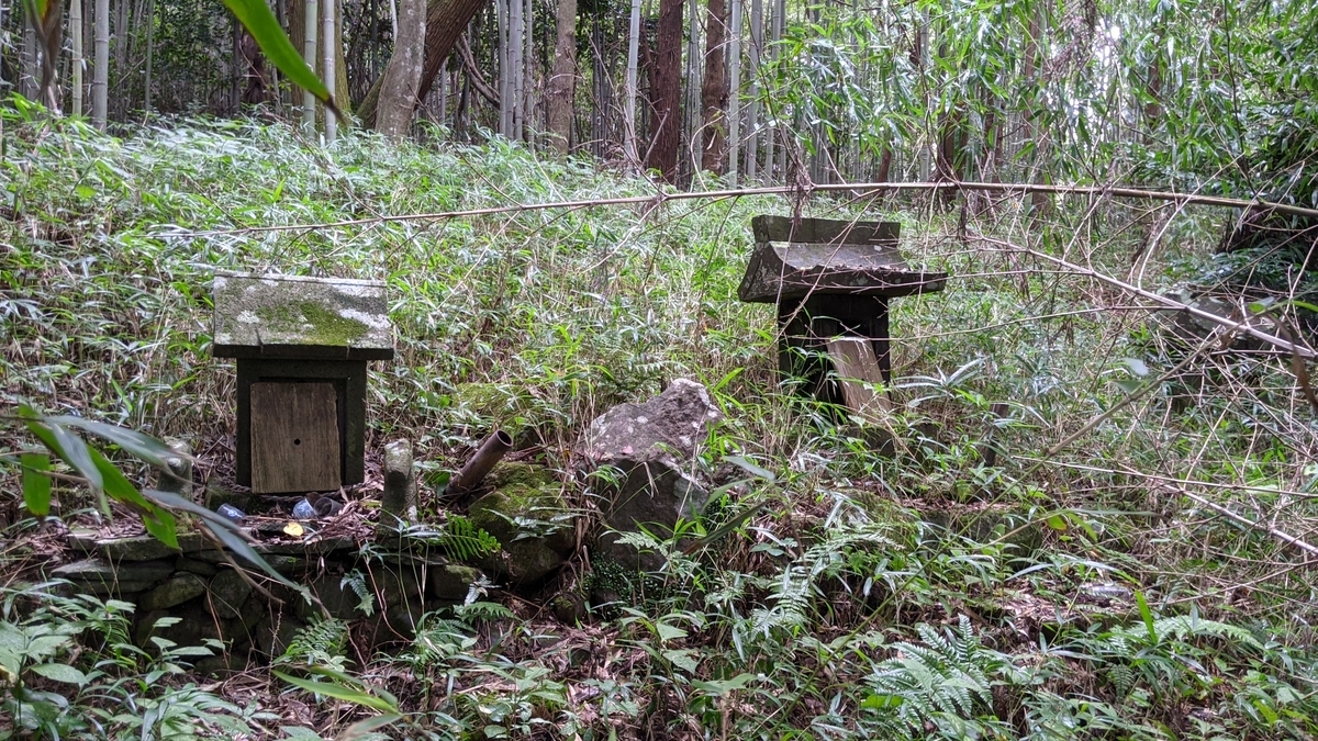 f:id:tears_of_ruby_grapefruit:20210915005427j:plain