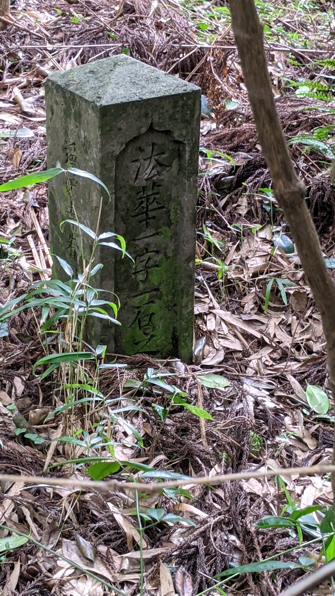 f:id:tears_of_ruby_grapefruit:20210915005440j:plain