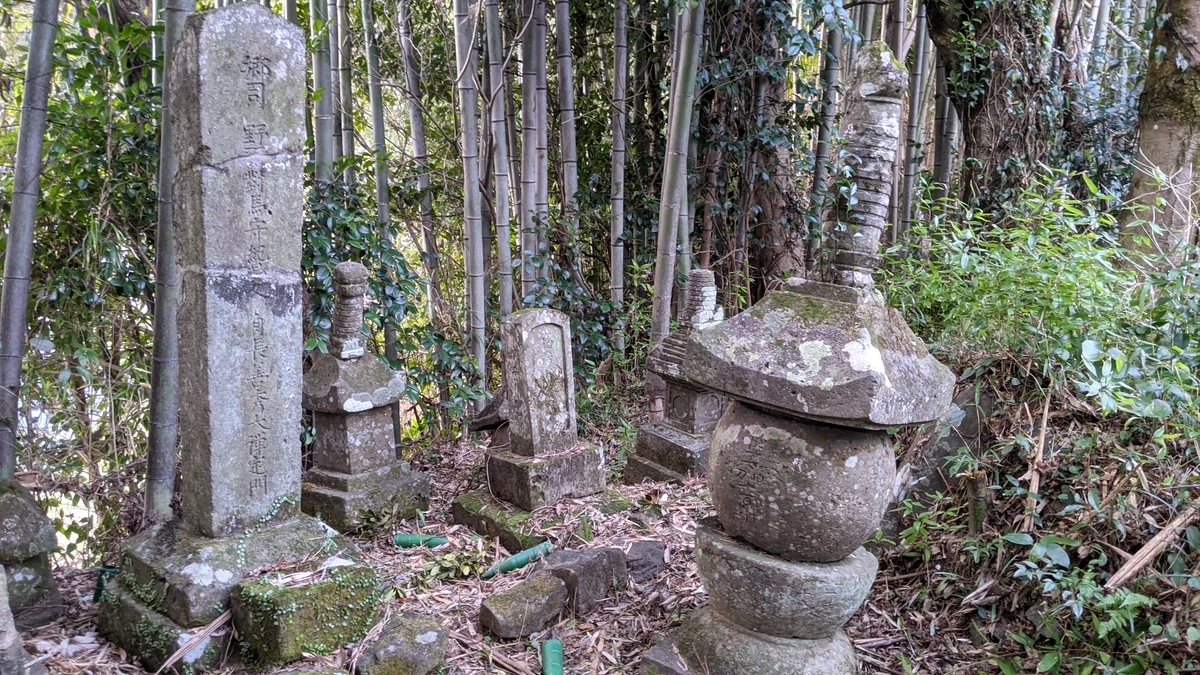 f:id:tears_of_ruby_grapefruit:20210915005457j:plain