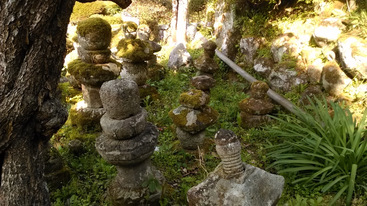 f:id:tears_of_ruby_grapefruit:20210926022010j:plain