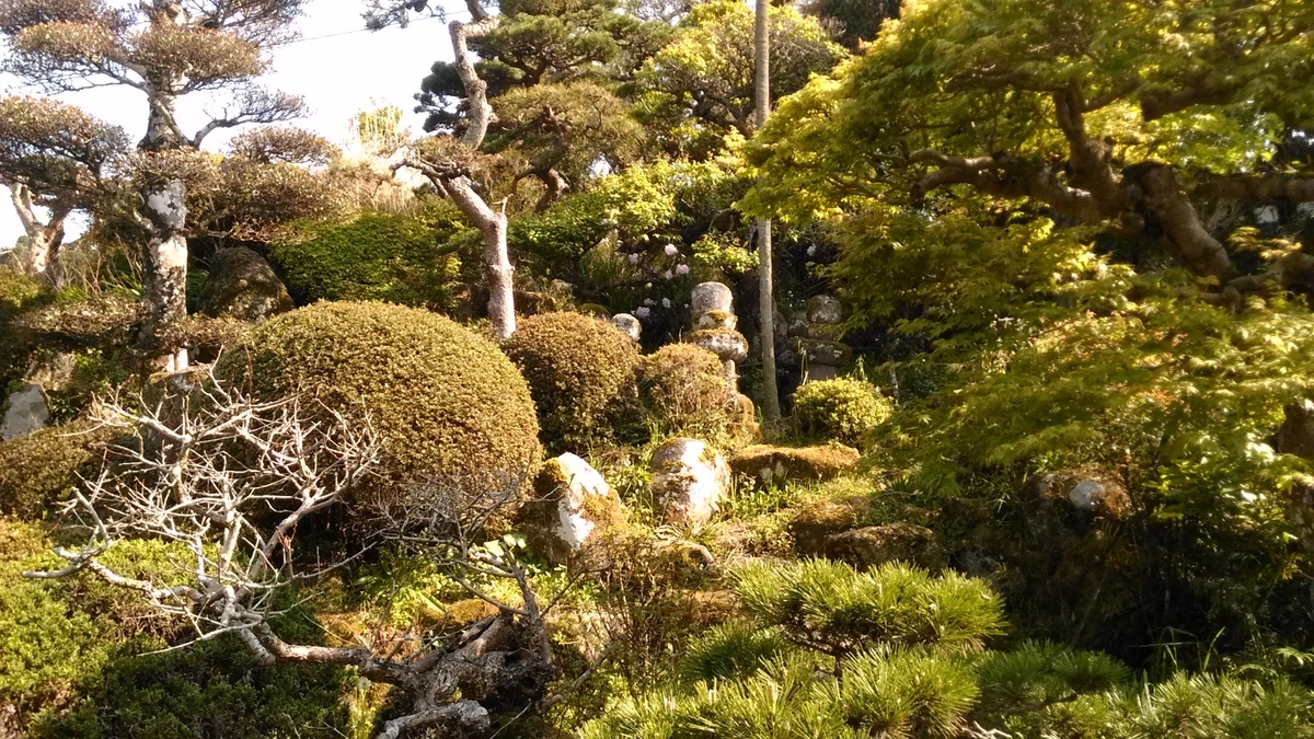 f:id:tears_of_ruby_grapefruit:20210926022014j:plain