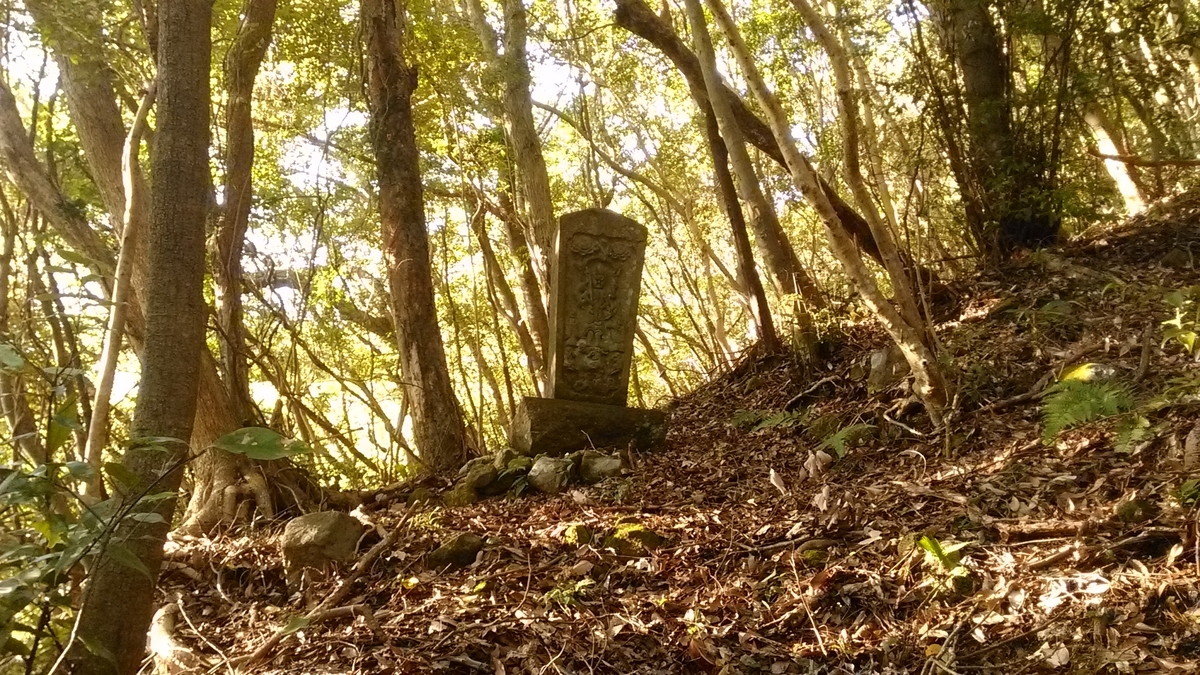 f:id:tears_of_ruby_grapefruit:20210926022112j:plain