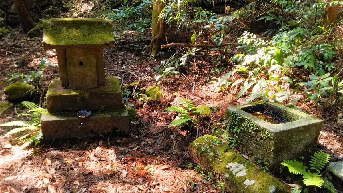 f:id:tears_of_ruby_grapefruit:20210926022118j:plain