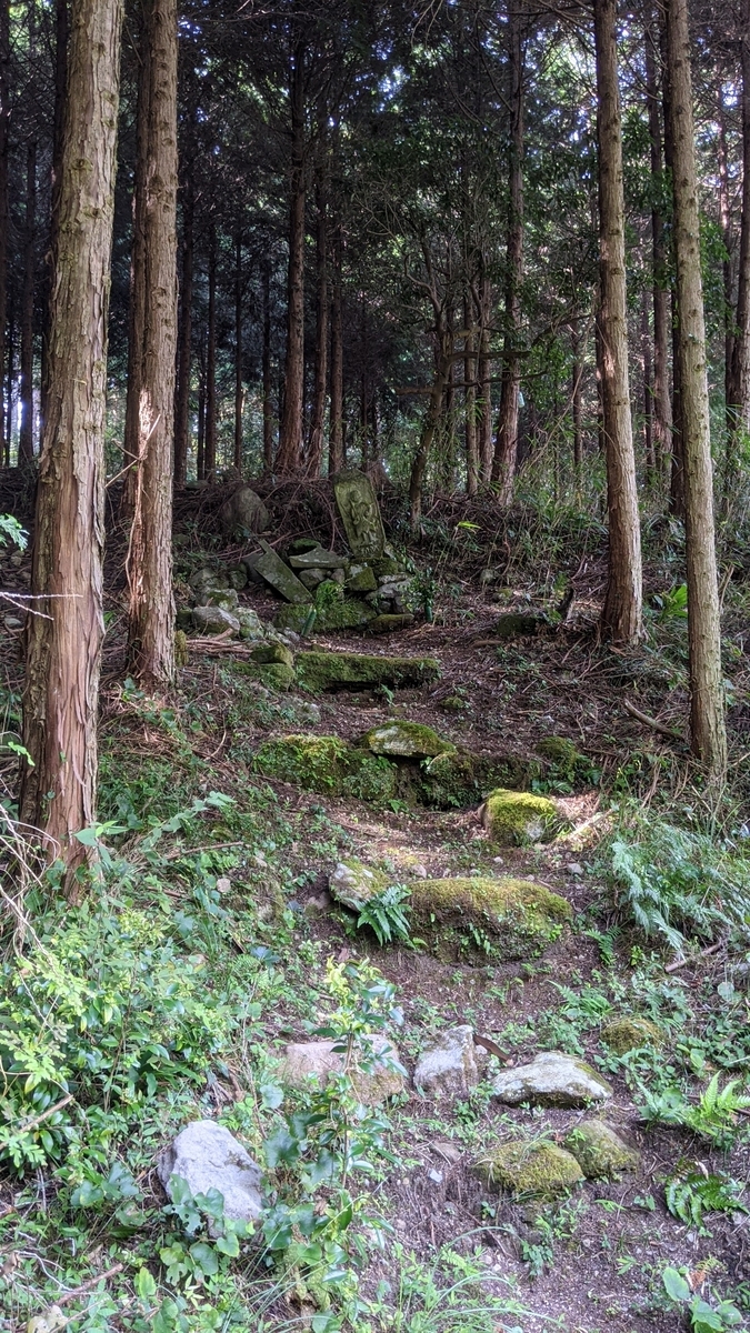 f:id:tears_of_ruby_grapefruit:20210926231421j:plain