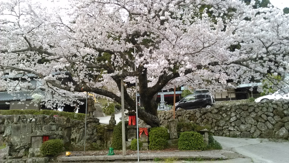 f:id:tears_of_ruby_grapefruit:20210926231429j:plain