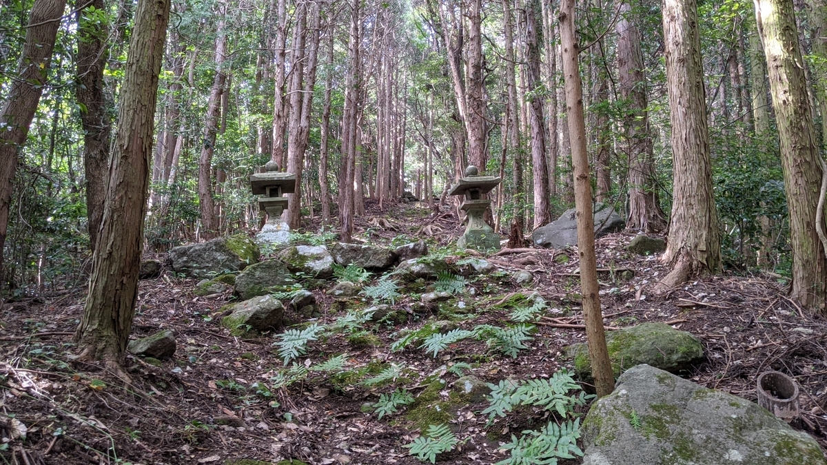 f:id:tears_of_ruby_grapefruit:20210926231443j:plain