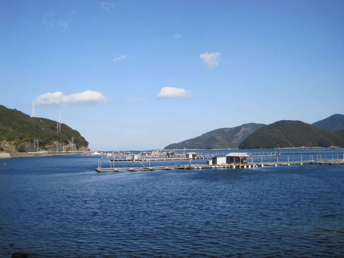 f:id:tears_of_ruby_grapefruit:20211023000026j:plain