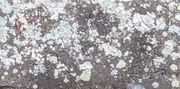 f:id:tears_of_ruby_grapefruit:20211023000109j:plain