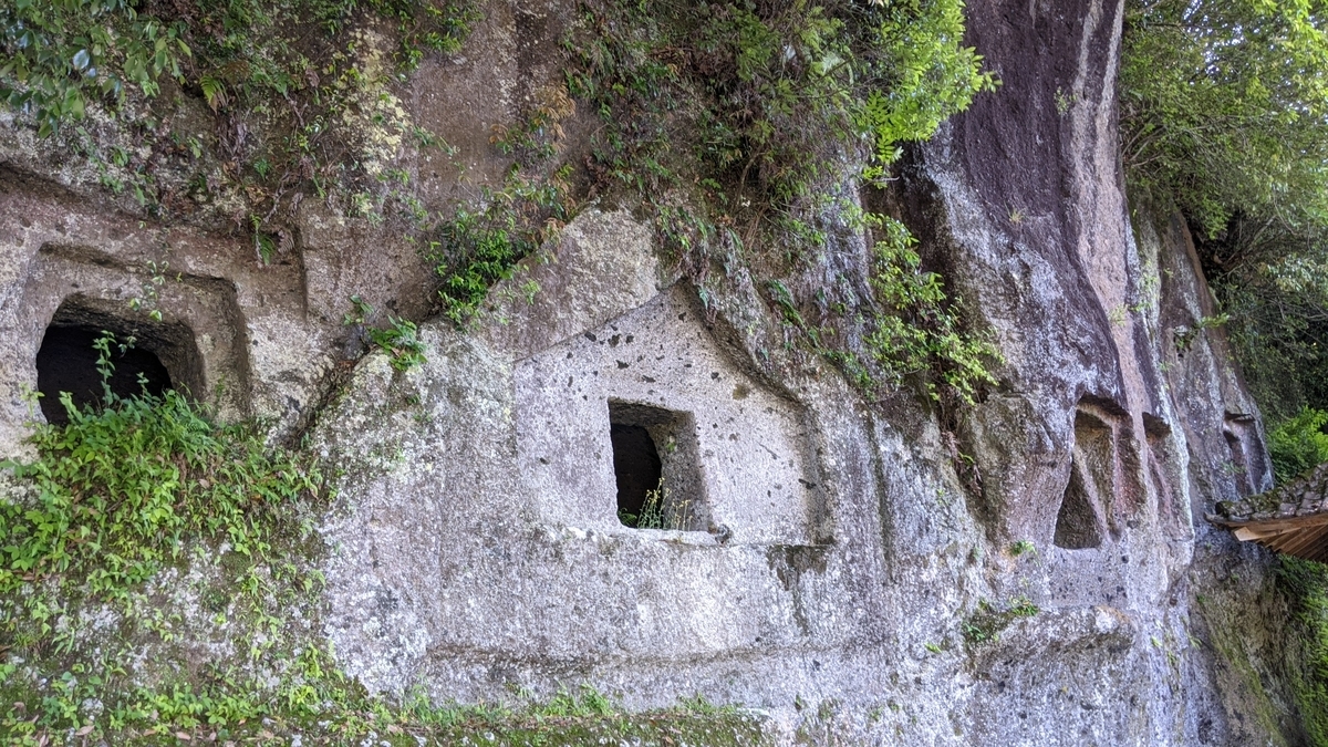 f:id:tears_of_ruby_grapefruit:20220218235019j:plain