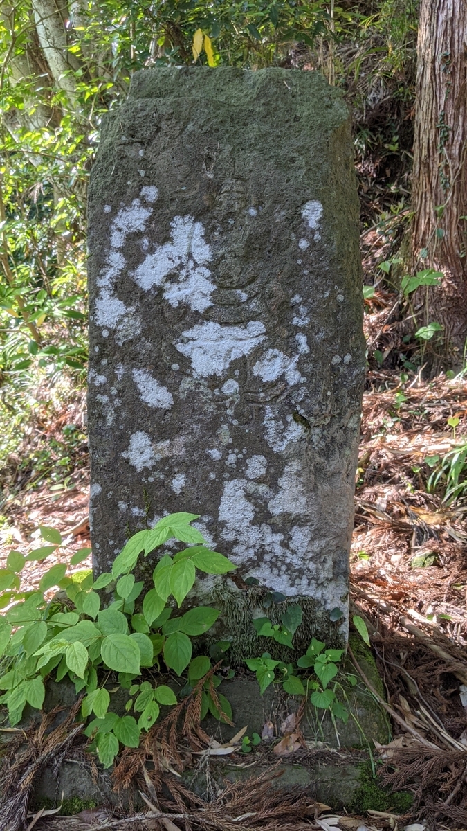 f:id:tears_of_ruby_grapefruit:20220218235036j:plain