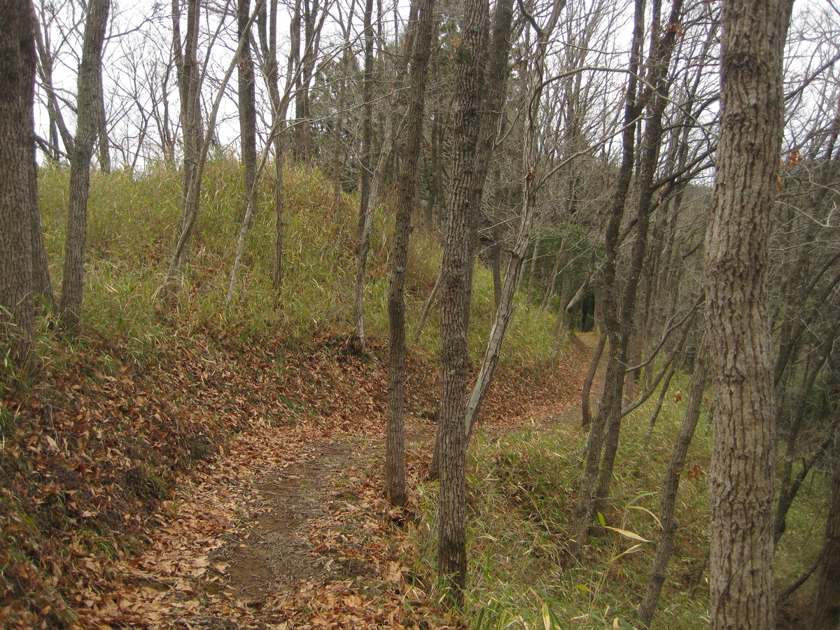 f:id:tears_of_ruby_grapefruit:20220218235130j:plain