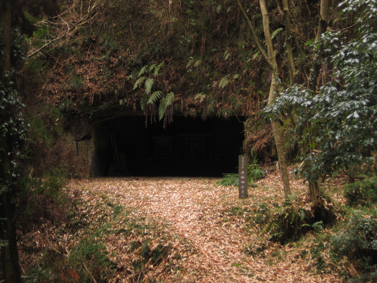 f:id:tears_of_ruby_grapefruit:20220218235133j:plain