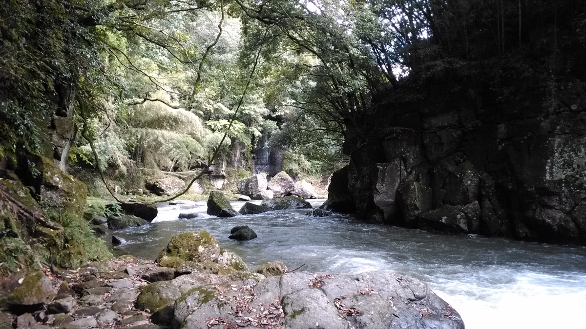 f:id:tears_of_ruby_grapefruit:20220218235154j:plain