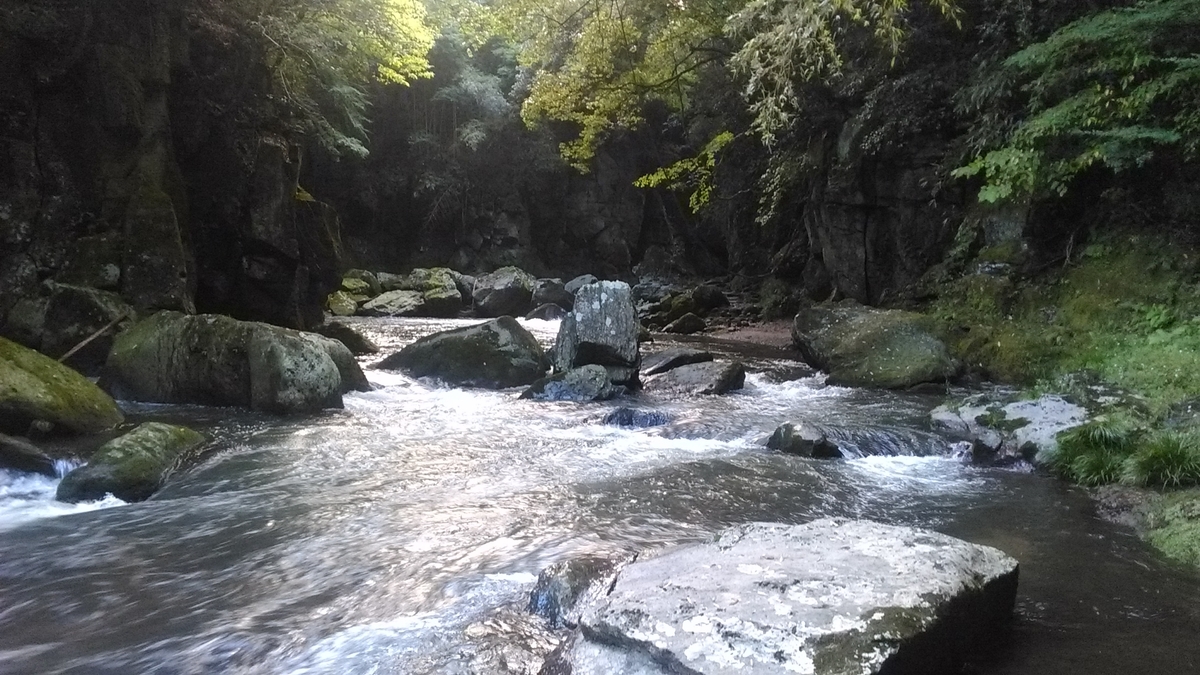 f:id:tears_of_ruby_grapefruit:20220218235157j:plain