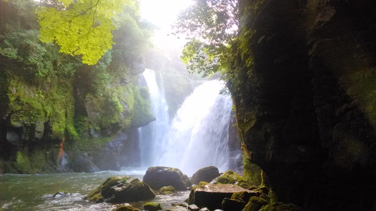 f:id:tears_of_ruby_grapefruit:20220218235159j:plain