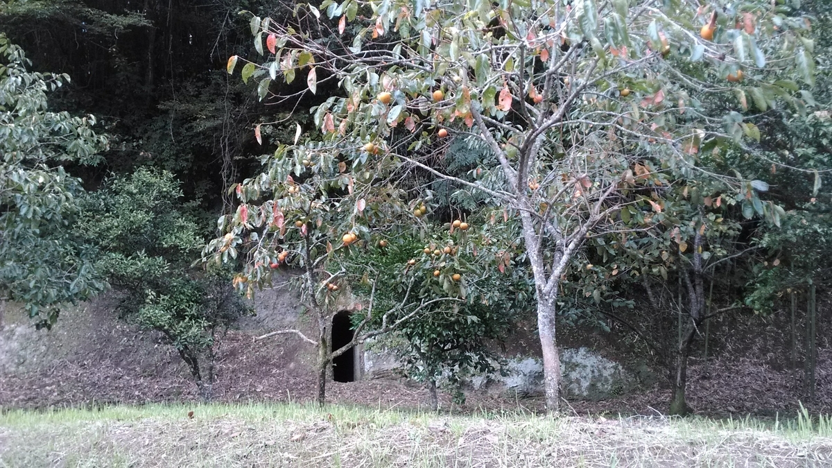 f:id:tears_of_ruby_grapefruit:20220218235202j:plain