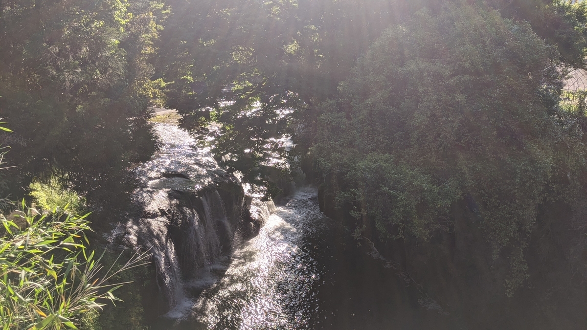 f:id:tears_of_ruby_grapefruit:20220218235205j:plain