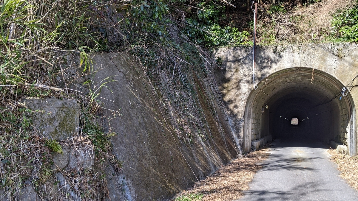 f:id:tears_of_ruby_grapefruit:20220326002054j:plain