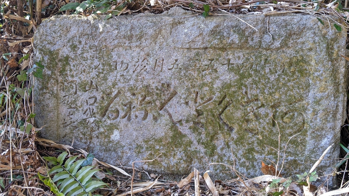 f:id:tears_of_ruby_grapefruit:20220326002057j:plain