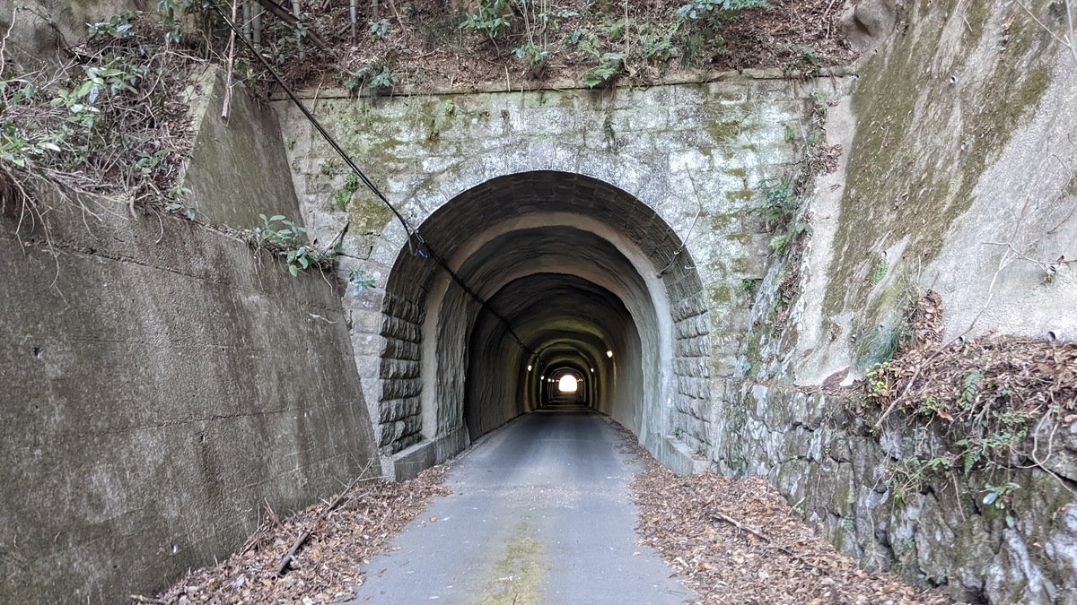 f:id:tears_of_ruby_grapefruit:20220326002059j:plain