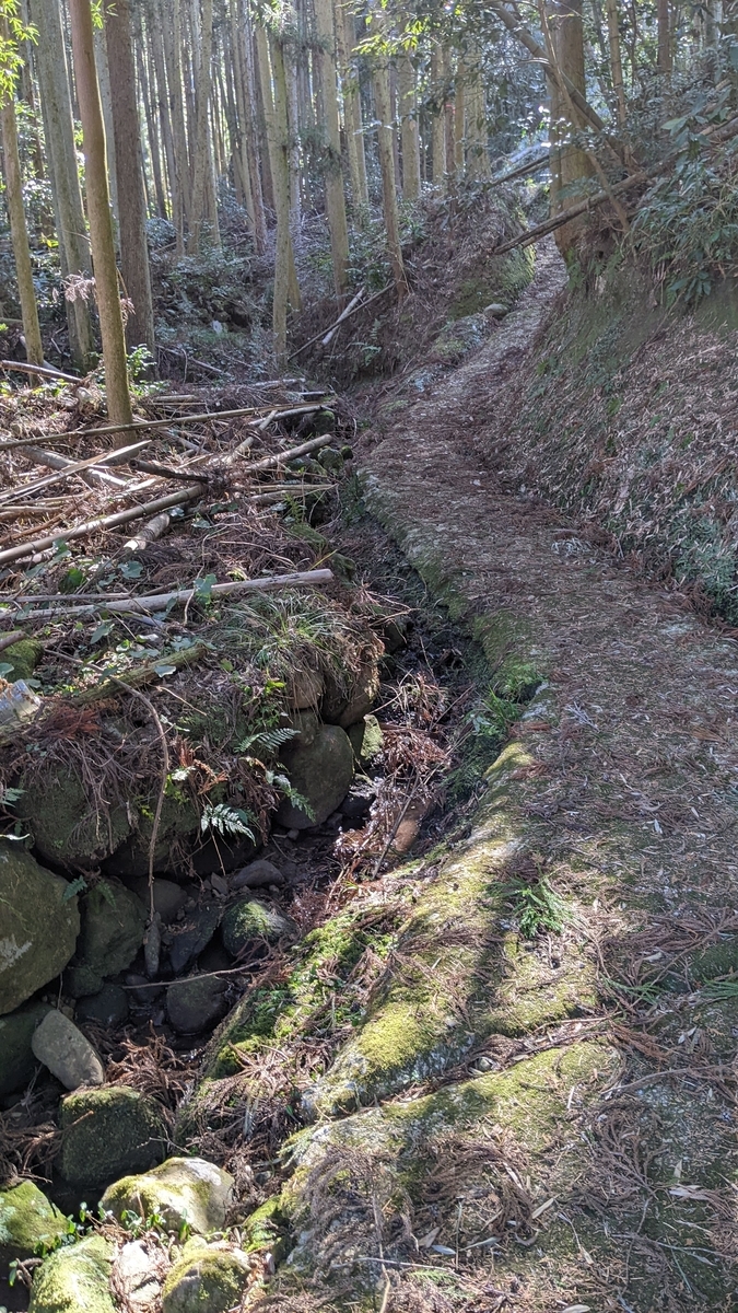 f:id:tears_of_ruby_grapefruit:20220326002106j:plain