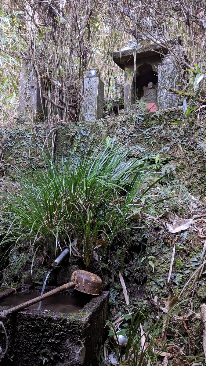 f:id:tears_of_ruby_grapefruit:20220326002138j:plain