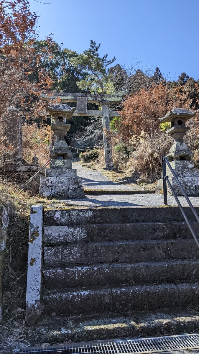 f:id:tears_of_ruby_grapefruit:20220326002156j:plain