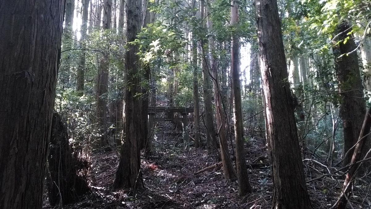 f:id:tears_of_ruby_grapefruit:20220326002238j:plain