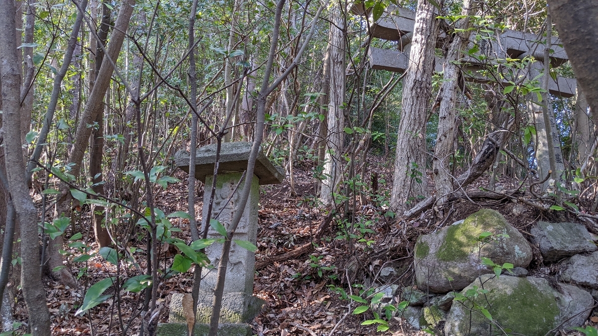 f:id:tears_of_ruby_grapefruit:20220413013240j:plain