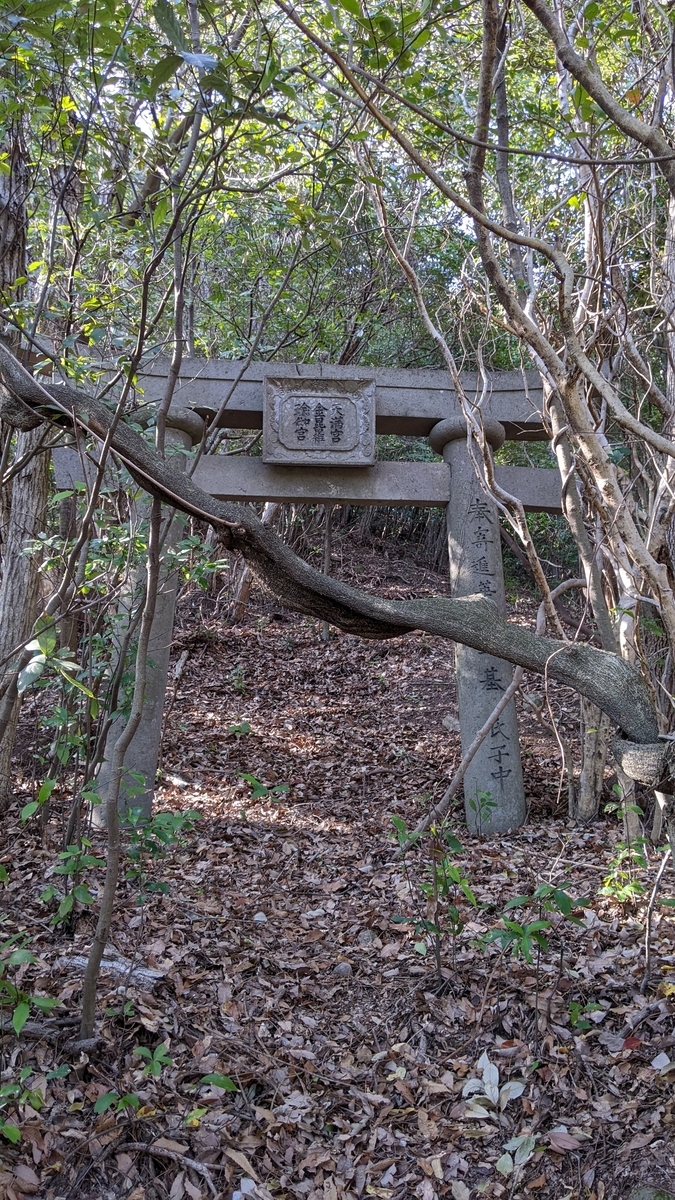 f:id:tears_of_ruby_grapefruit:20220413013245j:plain