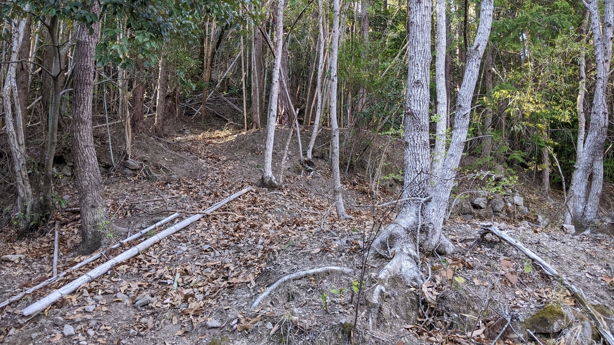 f:id:tears_of_ruby_grapefruit:20220413013333j:plain