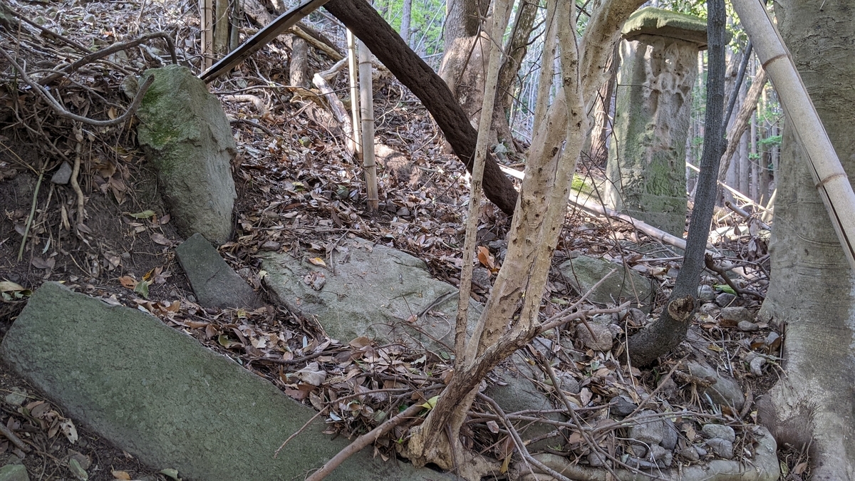 f:id:tears_of_ruby_grapefruit:20220413013347j:plain