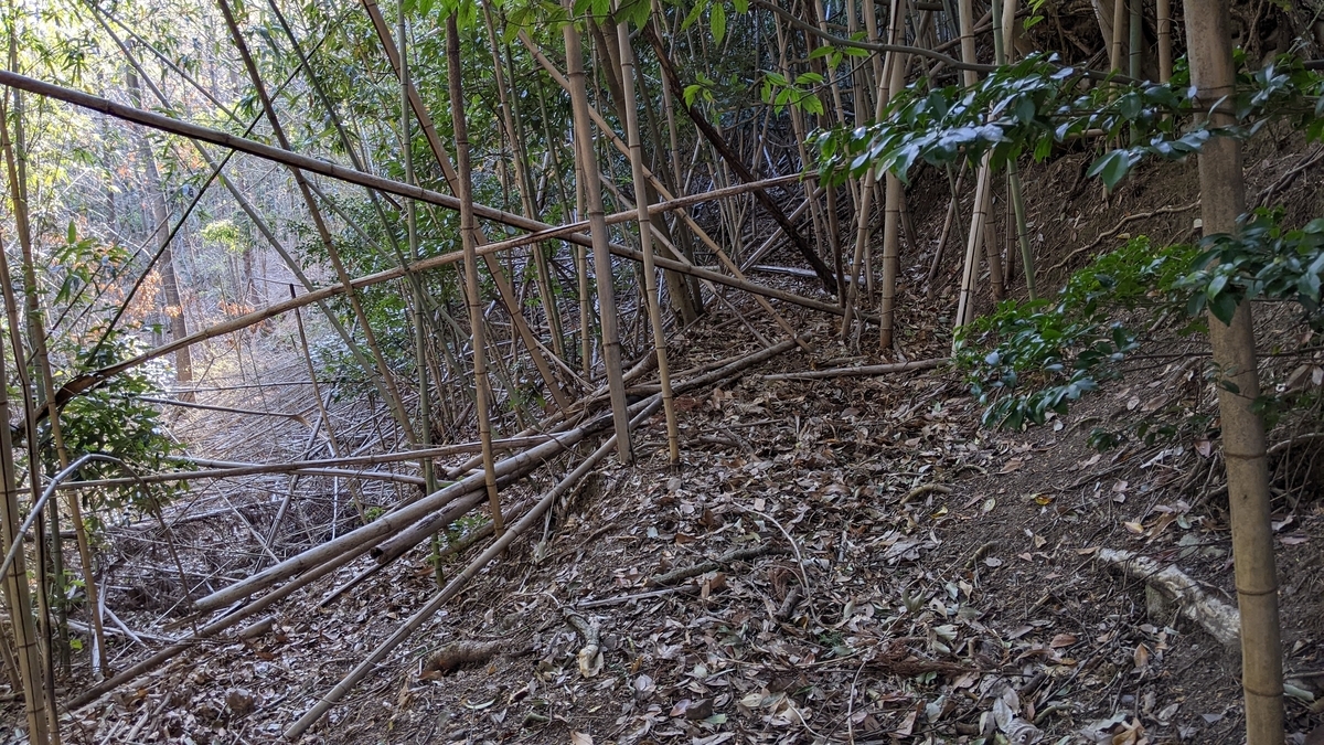 f:id:tears_of_ruby_grapefruit:20220413013353j:plain