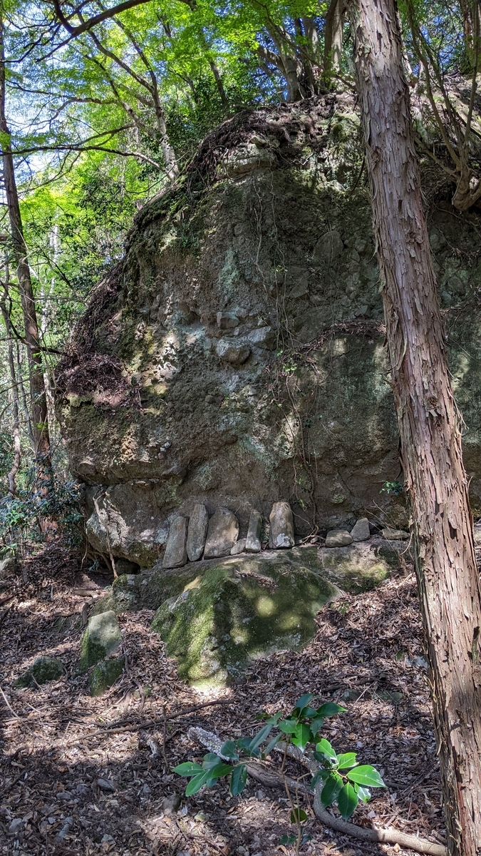 f:id:tears_of_ruby_grapefruit:20220413013432j:plain