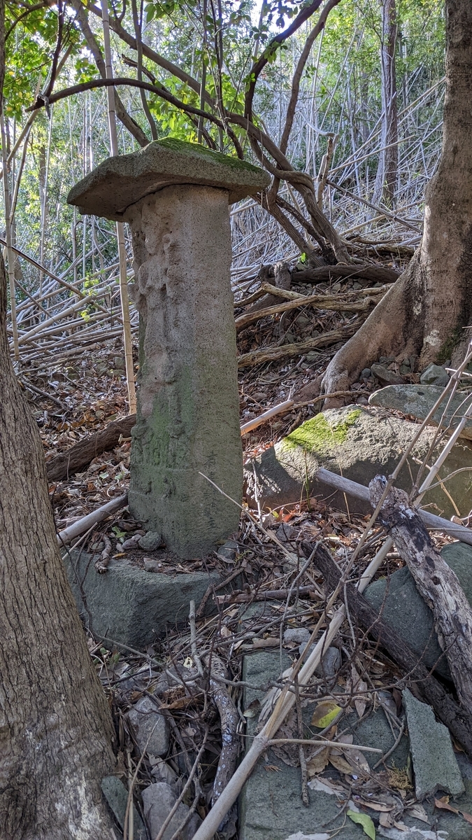 f:id:tears_of_ruby_grapefruit:20220414011252j:plain