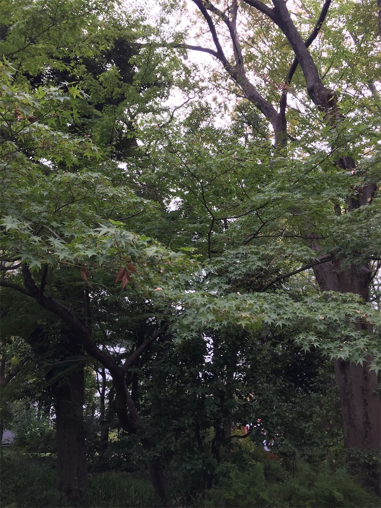 f:id:tearscrow:20191113234744j:image f:id:tearscrow:20191113234744j:image