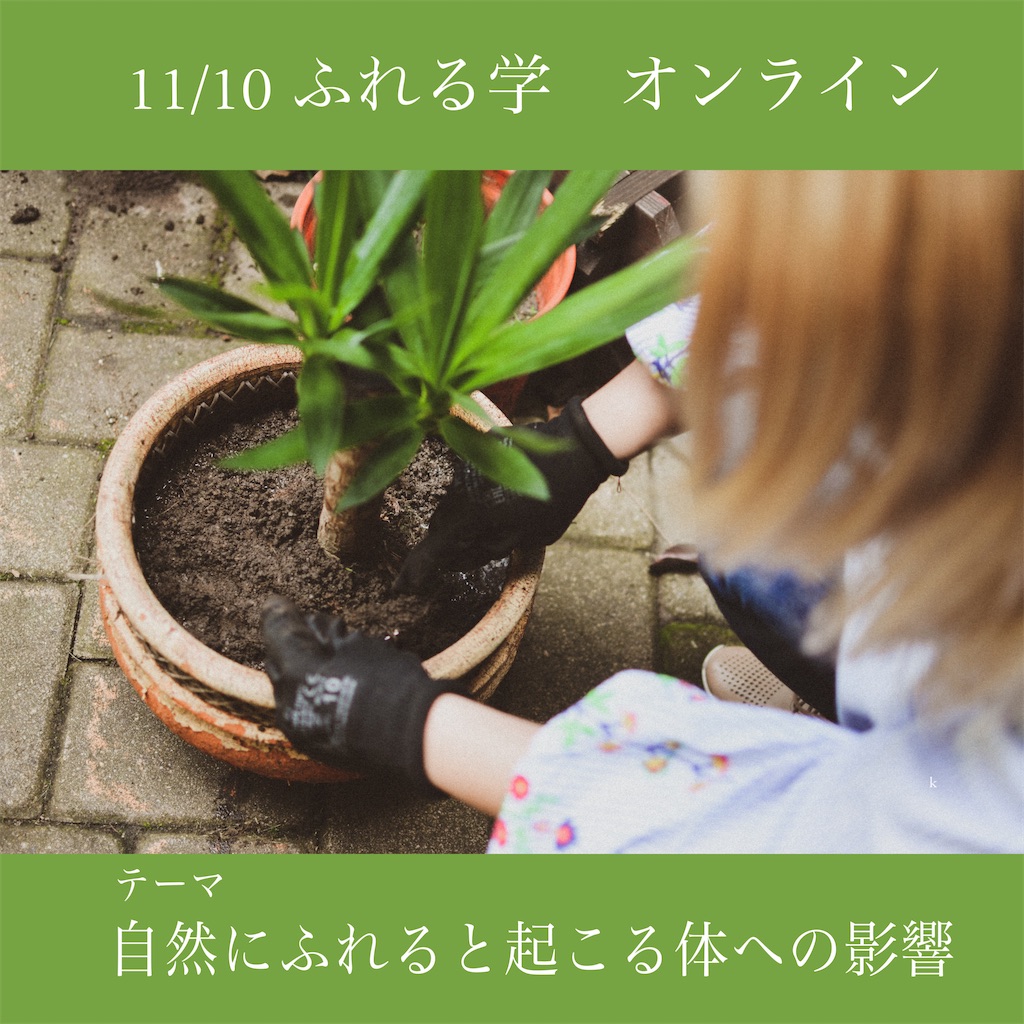 f:id:teatejm:20211105082619j:image