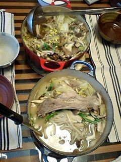 タンダの山菜鍋 を食う Teatree S Diary タンダの山菜鍋 を食う Teatree S Diary