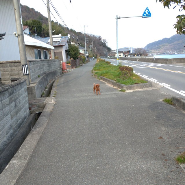 f:id:tebasaki-penguin:20190225102543j:image f:id:tebasaki-penguin:20190225102543j:image