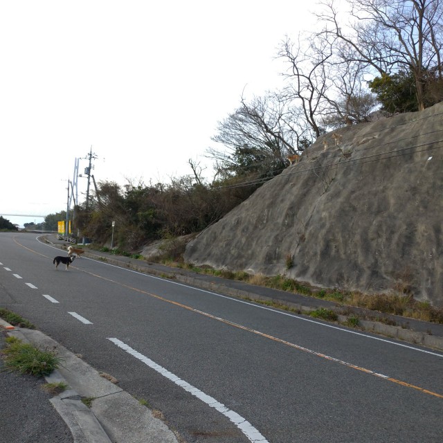 f:id:tebasaki-penguin:20190225133015j:image f:id:tebasaki-penguin:20190225133015j:image