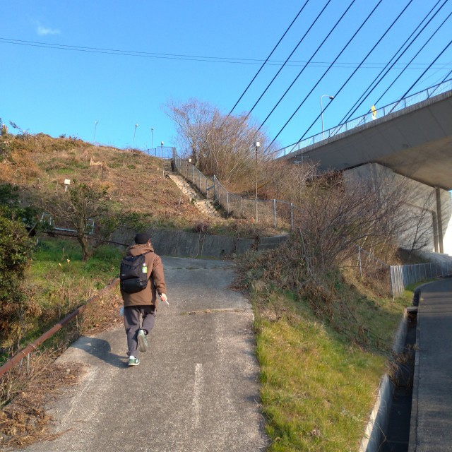 f:id:tebasaki-penguin:20190225133220j:image f:id:tebasaki-penguin:20190225133220j:image