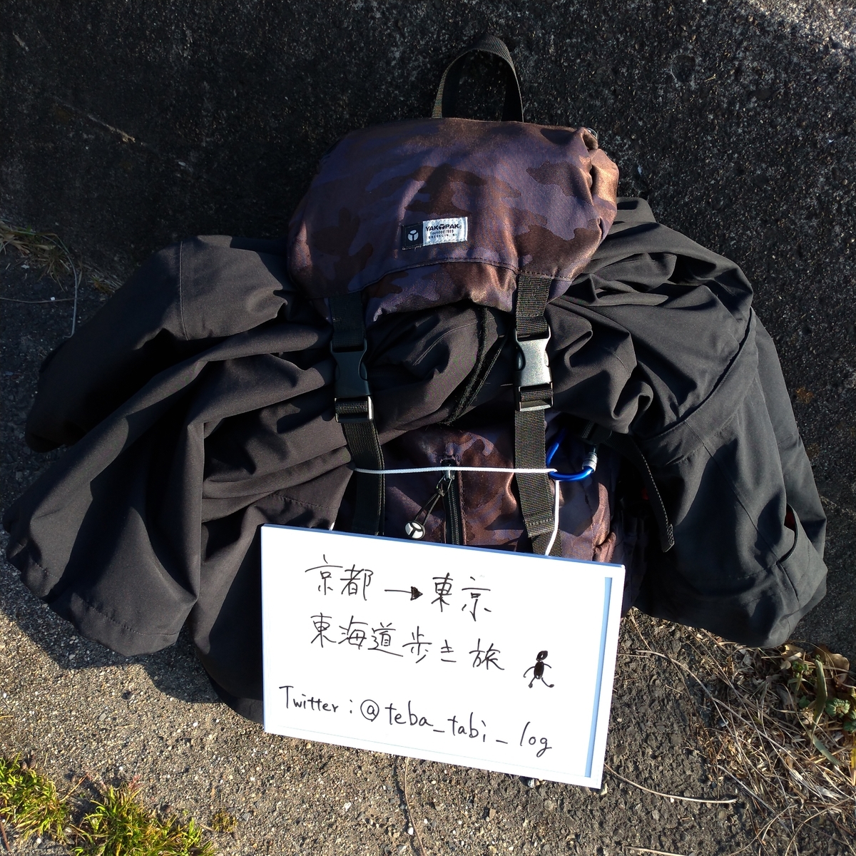 f:id:tebasaki-penguin:20190321185658j:plain