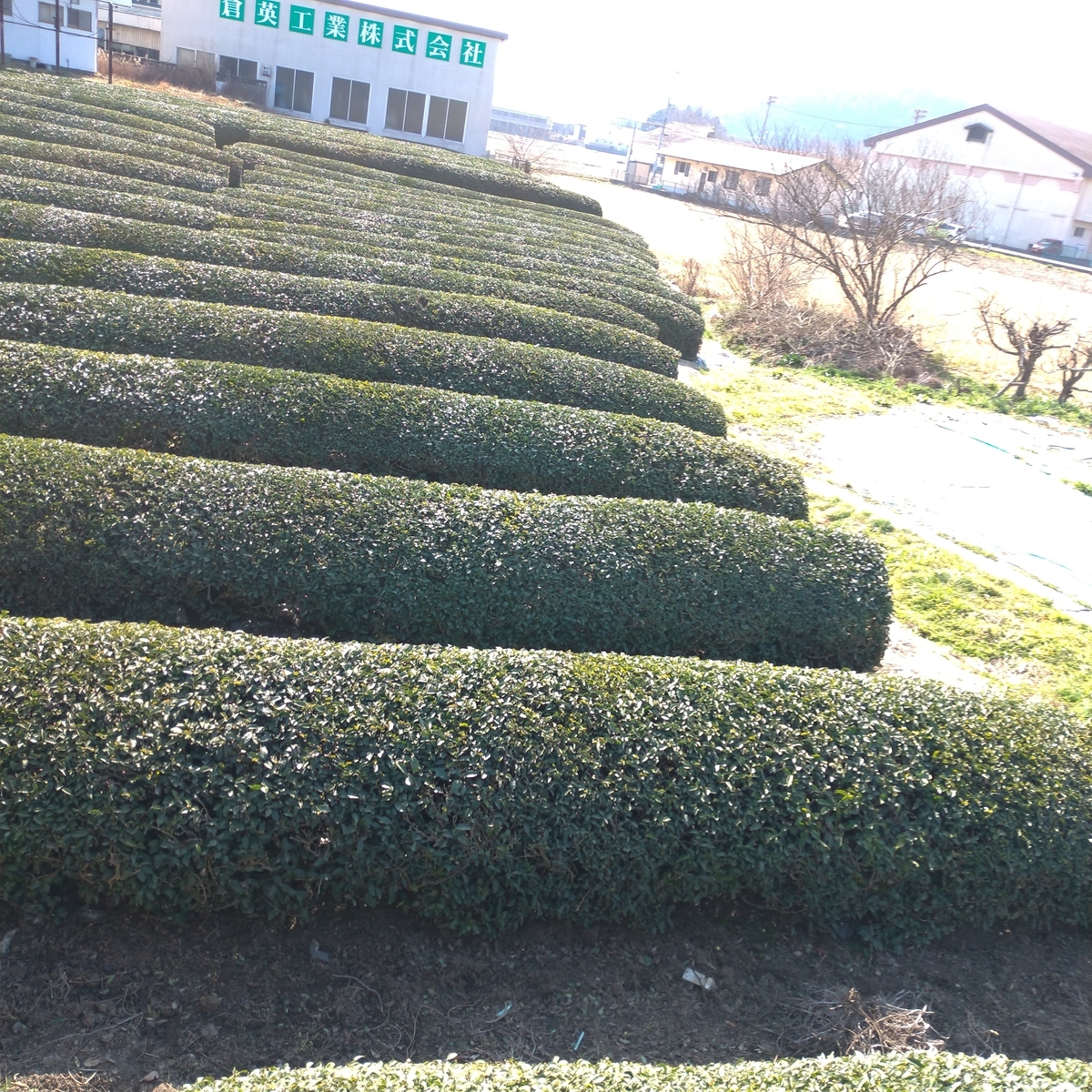 f:id:tebasaki-penguin:20190322000459j:plain