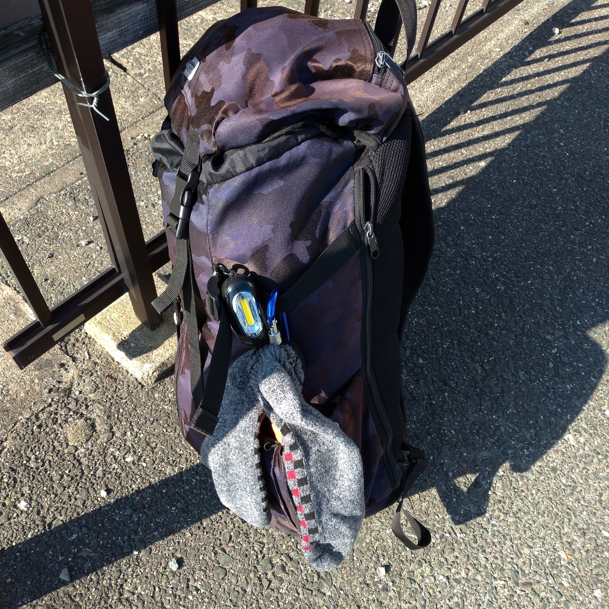 f:id:tebasaki-penguin:20190331224933j:plain f:id:tebasaki-penguin:20190331224933j:plain