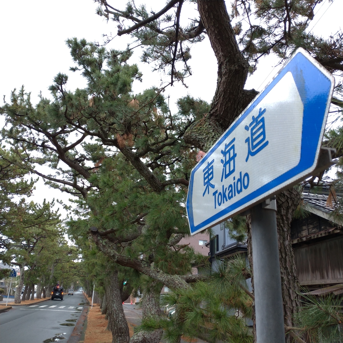 f:id:tebasaki-penguin:20190402000441j:plain f:id:tebasaki-penguin:20190402000441j:plain